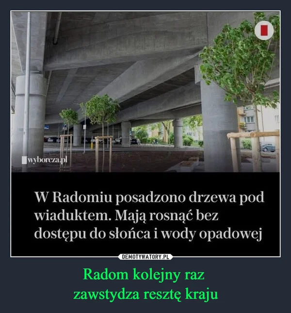 
    Radom kolejny raz zawstydza resztę kraju