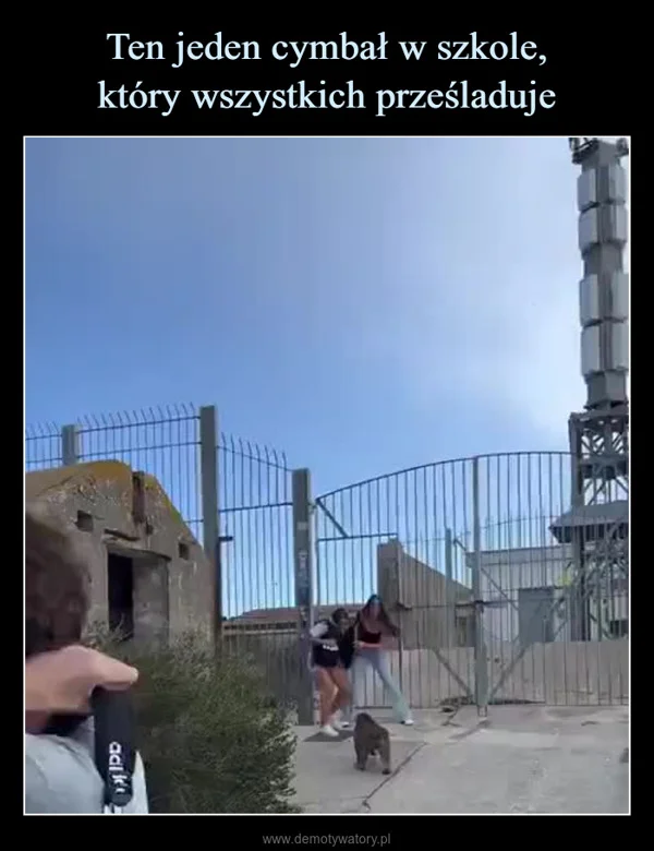Ten jeden cymbał w szkole, który wszystkich prześladuje