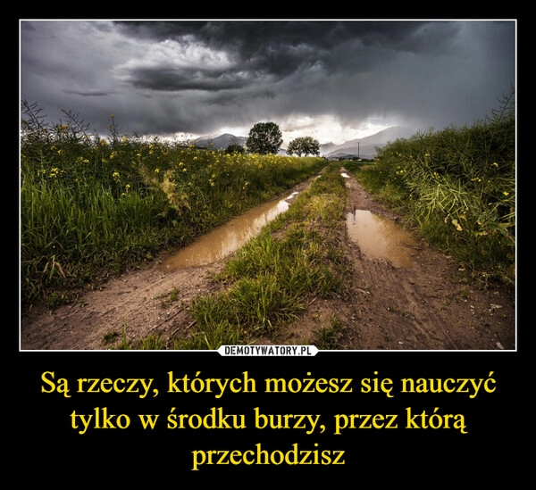 
    Są rzeczy, których możesz się nauczyć tylko w środku burzy, przez którą przechodzisz