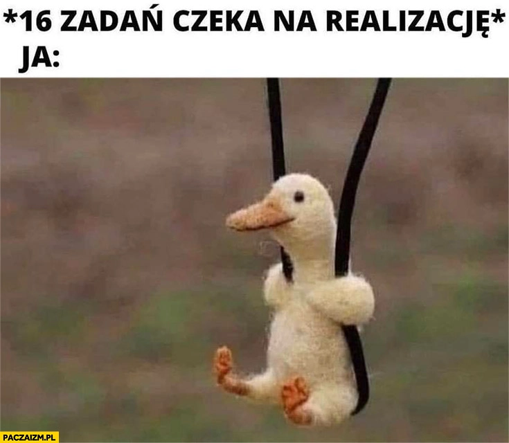 
    16 zadań czeka na realizację, ja słodka kaczuszka na huśtawce