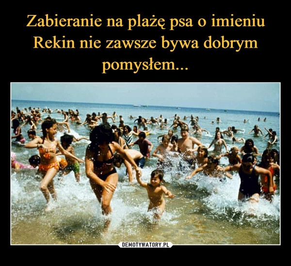 
    Zabieranie na plażę psa o imieniu Rekin nie zawsze bywa dobrym pomysłem...