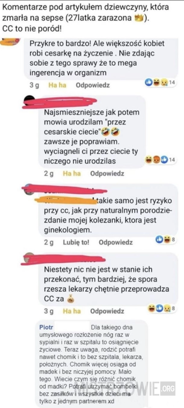 
    Orka na madkach