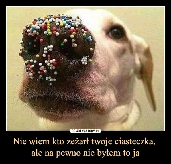 
    Nie wiem kto zeżarł twoje ciasteczka, ale na pewno nie byłem to ja