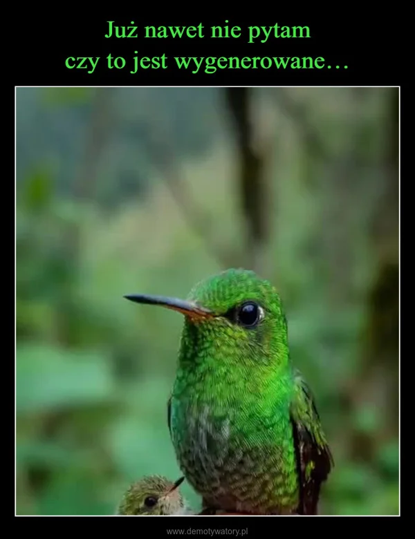 Już nawet nie pytam czy to jest wygenerowane…