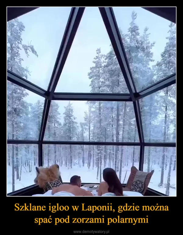 
    Szklane igloo w Laponii, gdzie można spać pod zorzami polarnymi