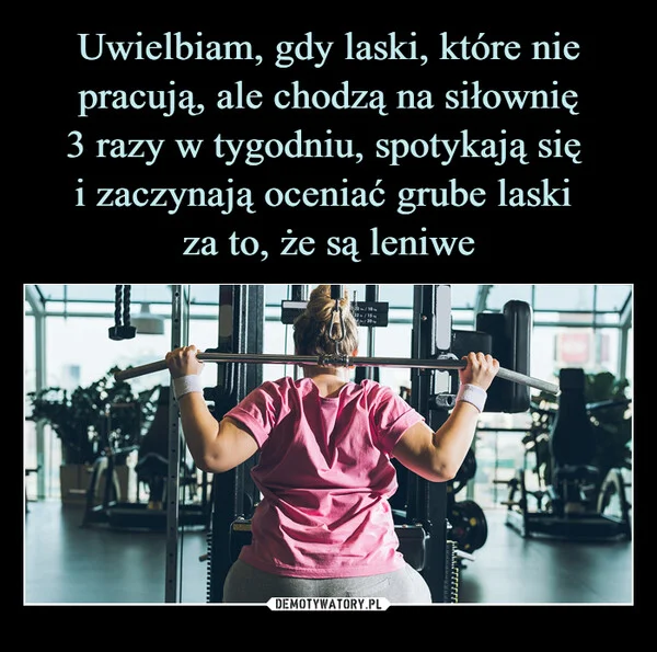 
    Uwielbiam, gdy laski, które nie pracują, ale chodzą na siłownię 3 razy w tygodniu, spotykają się i zaczynają oceniać grube laski za to, że są leniwe