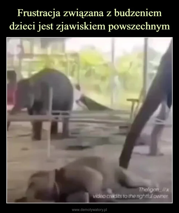 
    Frustracja związana z budzeniem dzieci jest zjawiskiem powszechnym