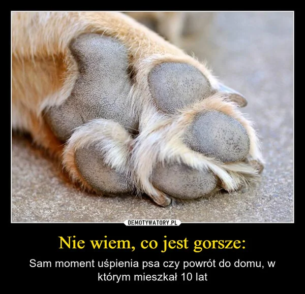 
    Nie wiem, co jest gorsze: