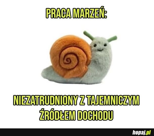 
    Praca marzeń