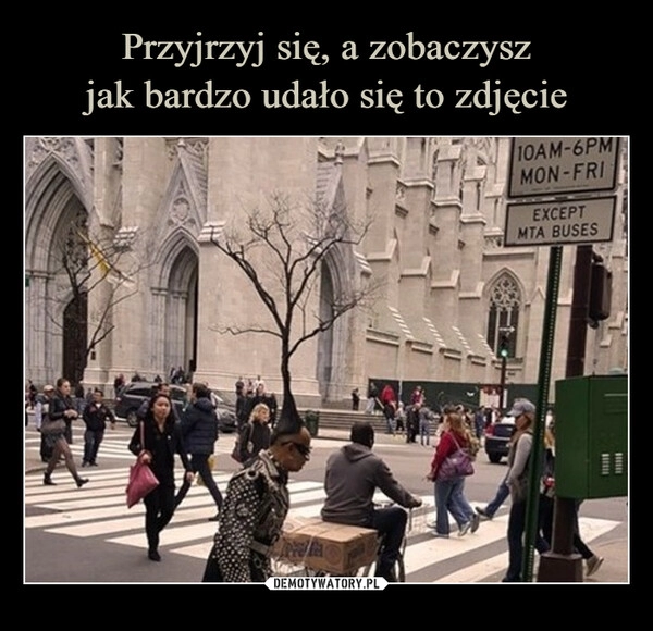 
    Przyjrzyj się, a zobaczysz
jak bardzo udało się to zdjęcie