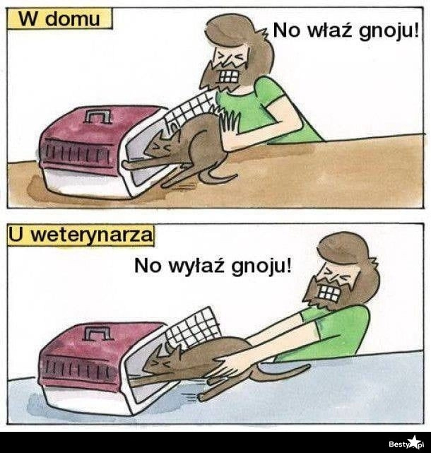 
    U wteerynarza 