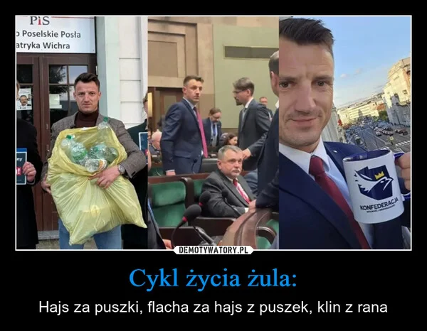 
    Cykl życia żula: