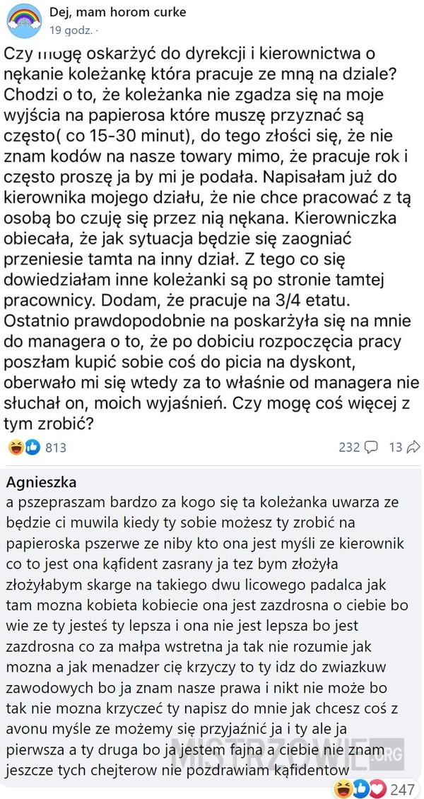 
    Koleżanka