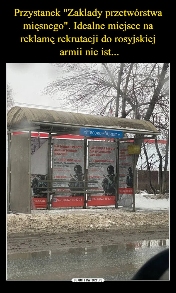 
    Przystanek 
