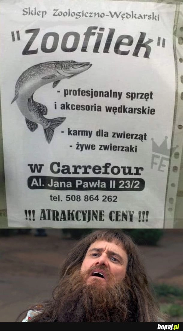 
    Biedne zwierzaki...