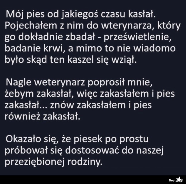 
    Kaszlący pies 