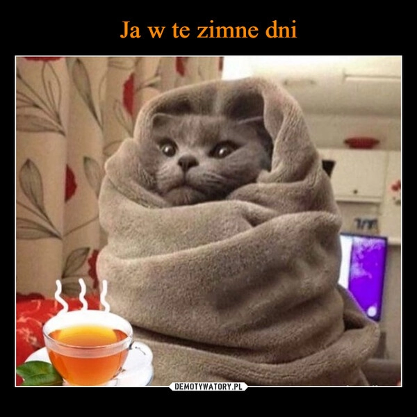 
    
Ja w te zimne dni 