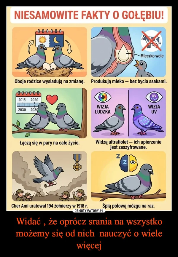 
    Widać , że oprócz srania na wszystko możemy się od nich nauczyć o wiele więcej