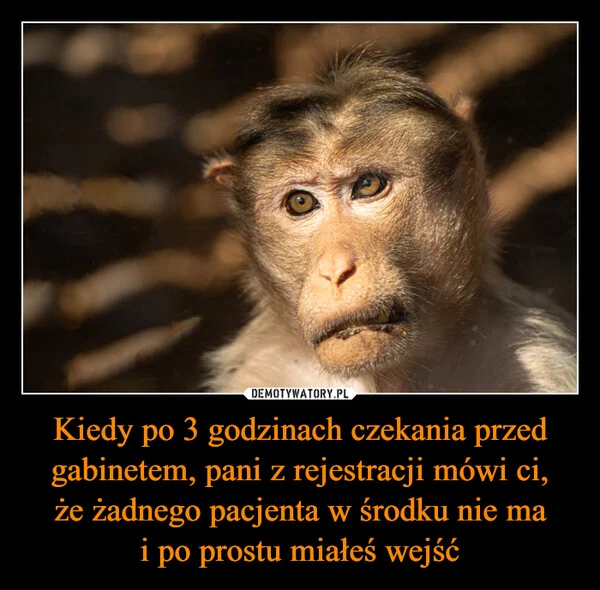 
    Kiedy po 3 godzinach czekania przed gabinetem, pani z rejestracji mówi ci, że żadnego pacjenta w środku nie ma i po prostu miałeś wejść