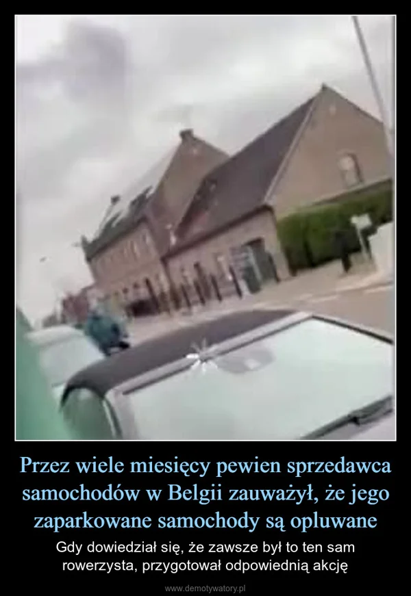 
    Przez wiele miesięcy pewien sprzedawca samochodów w Belgii zauważył, że jego zaparkowane samochody są opluwane