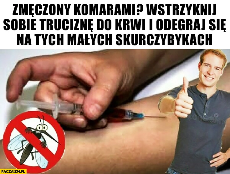 
    Zmęczony komarami? Wstrzyknij sobie truciznę do krwi i odegraj się na tych małych skurczybykach