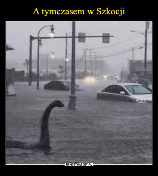 
    A tymczasem w Szkocji