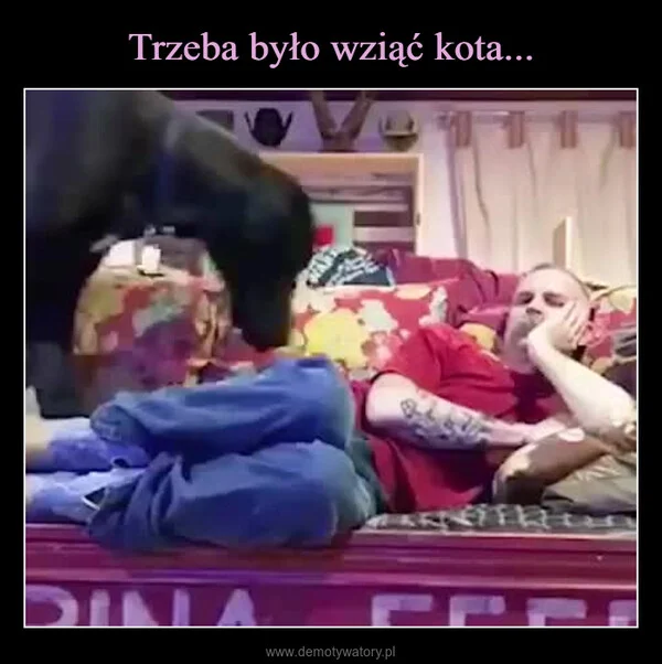
    Trzeba było wziąć kota...