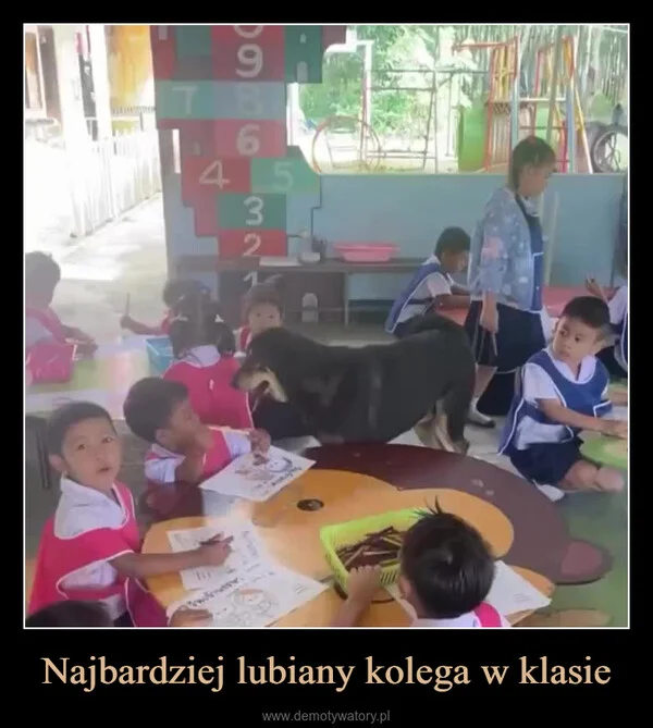 
    Najbardziej lubiany kolega w klasie