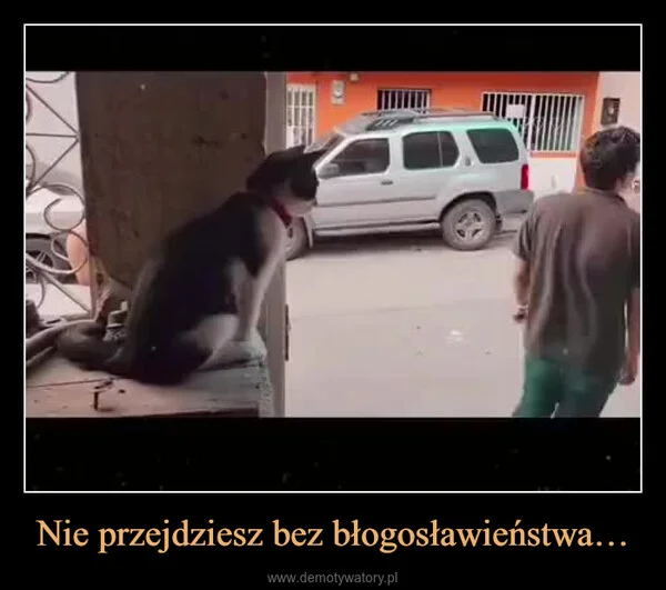 
    Nie przejdziesz bez błogosławieństwa…