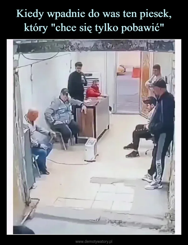 
    Kiedy wpadnie do was ten piesek, który 