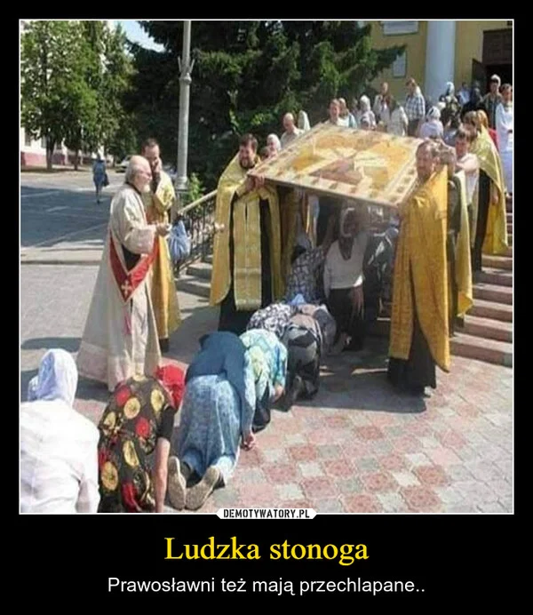 
    Ludzka stonoga