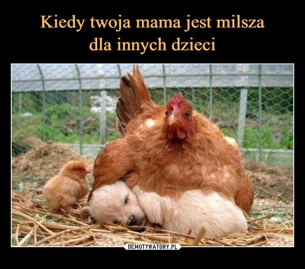 
    Kiedy twoja mama jest milsza
dla innych dzieci