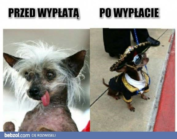 
    Dzień wypłaty 