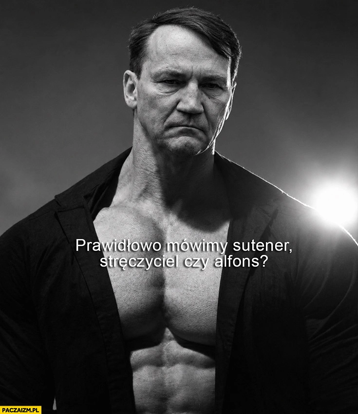 
    Sikorski prawidłowo mówimy sutener, stręczyciel czy alfons? Chad gigachad