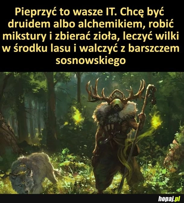 
    Moje marzenie