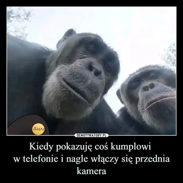 
    Kiedy pokazuję coś kumplowi w telefonie i nagle włączy się przednia kamera