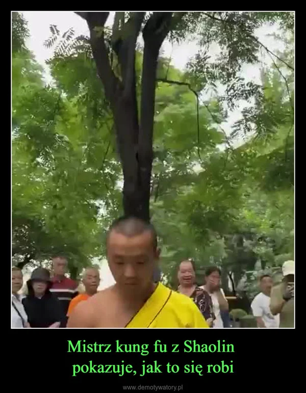
    Mistrz kung fu z Shaolin pokazuje, jak to się robi