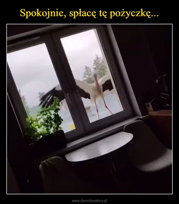 
    Spokojnie, spłacę tę pożyczkę...