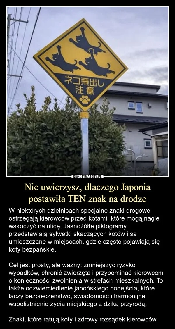 
    Nie uwierzysz, dlaczego Japonia postawiła TEN znak na drodze