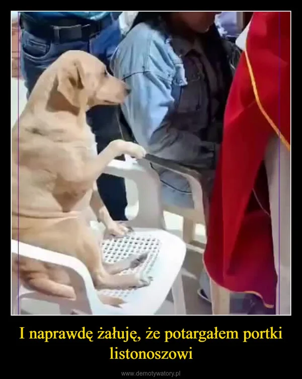 
    I naprawdę żałuję, że potargałem portki listonoszowi