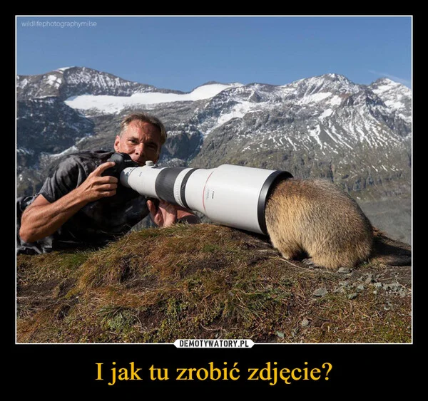 
    I jak tu zrobić zdjęcie?