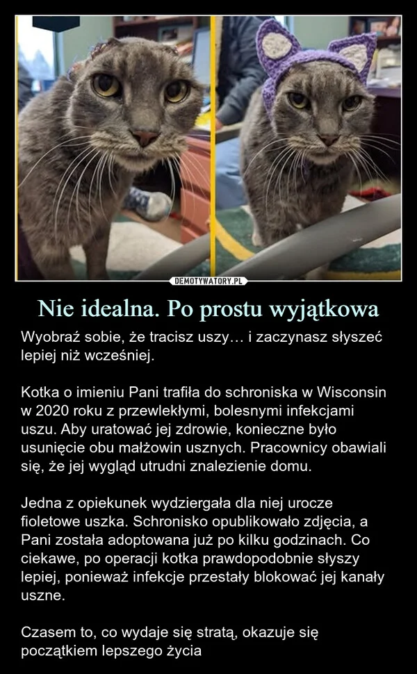 
    Nie idealna. Po prostu wyjątkowa