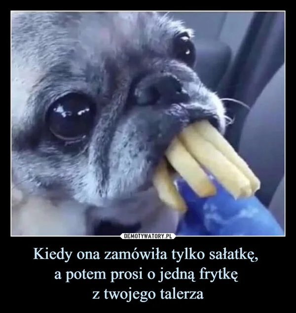 Kiedy ona zamówiła tylko sałatkę, a potem prosi o jedną frytkę z twojego talerza