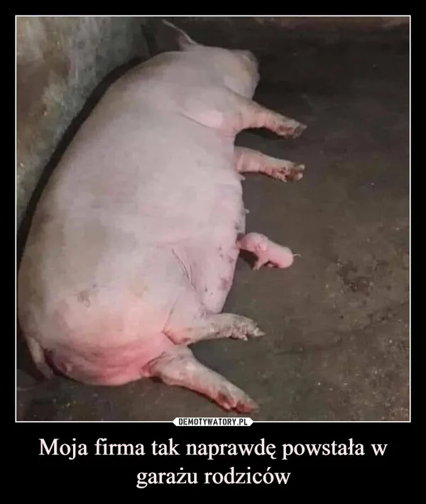 
    Moja firma tak naprawdę powstała w garażu rodziców