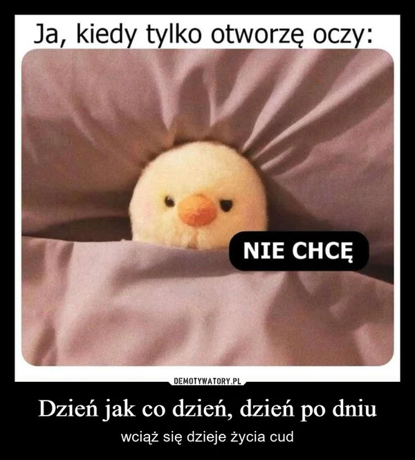 
    Dzień jak co dzień, dzień po dniu