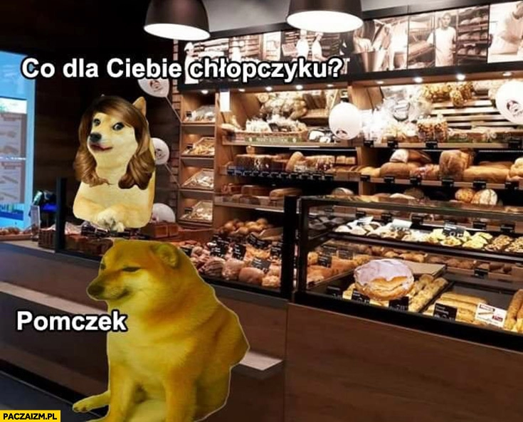 
    Co dla Ciebie chłopczyku? Pączek pies pieseł doge