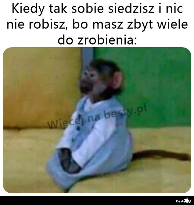 
    Typowa niedziela 