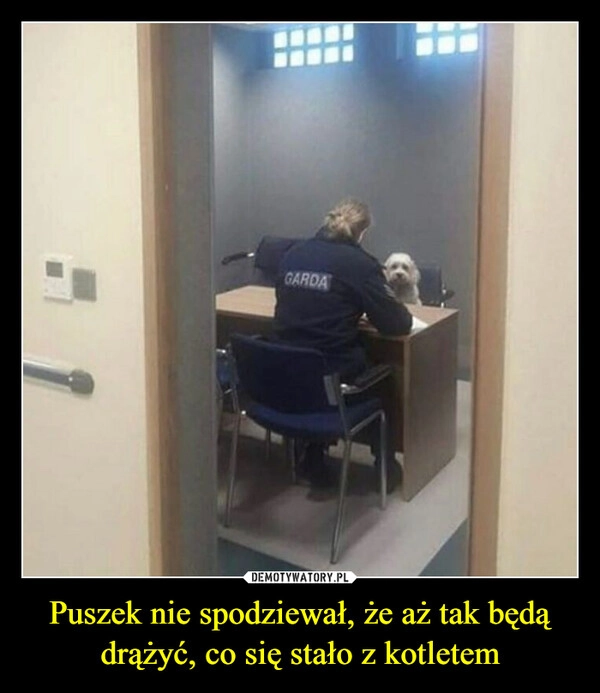 
    Puszek nie spodziewał, że aż tak będą drążyć, co się stało z kotletem