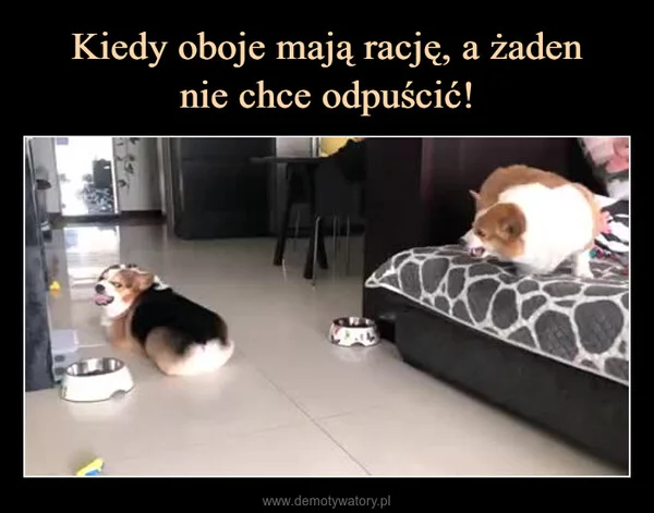 
    Kiedy oboje mają rację, a żaden nie chce odpuścić!