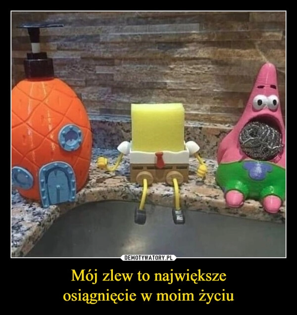 
    Mój zlew to największe
osiągnięcie w moim życiu
